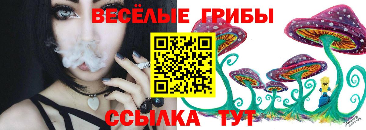 Псилоцибиновые грибы Psilocybe  Галлюциногенные грибы GOLDEN TEACHER  Северск  Вход с VPN 
